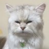 そらきち 的头像