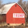 Фото профиля Trump wins