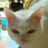 Profilbild von 大姨胶布