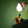 SLTN profil fotoğrafı