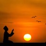 The Bitcoin Shaykh's profile picture