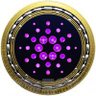 Фото профиля Cardano Stakepool Germany