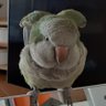 ゆみとし profil fotoğrafı