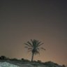 علي © profil fotoğrafı