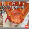 Profilbild von 元子供会ソフトボール監督