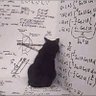 schrödinger's_cat profil fotoğrafı