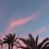 ana 🌸's profile picture