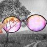 Profilbild von Powell's Other Glasses (Ausnotes) 🌸