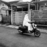 Фото профиля Rossi N Suriadinata