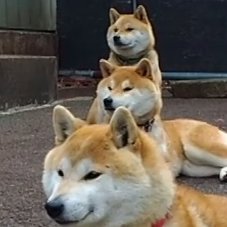 マヨネ's profile picture