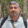 Naveen Gaur's profile picture