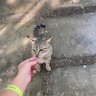 CarO profil fotoğrafı