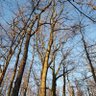 BriggyNature profil fotoğrafı