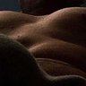 Alex Paris's profile picture
