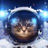 Profilbild von 1funkycat