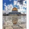 Фото профиля Eng. osama