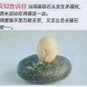 一叶知秋 profil fotoğrafı