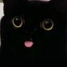 Profilbild von odi ꒰⑅•ᴗ•⑅꒱