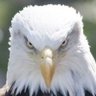 AmericanMade profil fotoğrafı