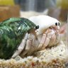 Фото профиля ヤドちゃん大好き