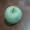 rena's profile picture
