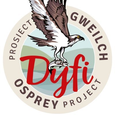 DyfiOspreys's profile picture