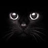 Yunus's profile picture