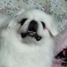 Profilbild von やろっこ