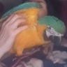 Profilbild von SCORPIOhm