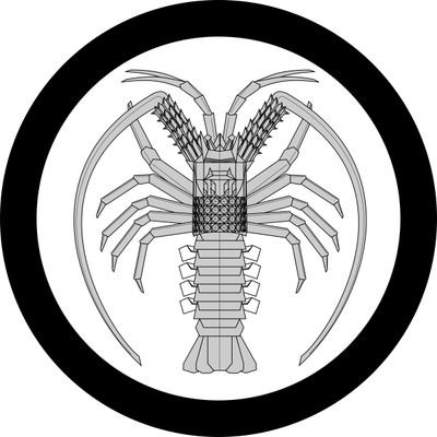 σ's profile picture