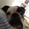 Profilbild von Uxue de Carlos