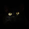 Profilbild von rn07