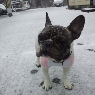 KITTAN81983's profile picture