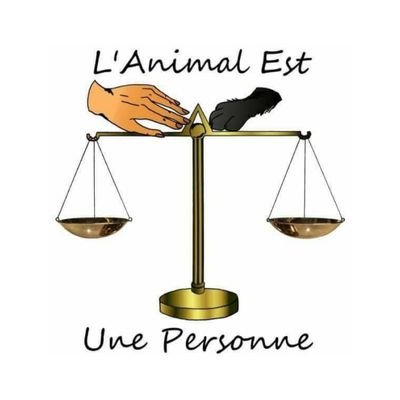 Animal1Personne's profile picture