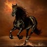 أفراح المطيري's profile picture