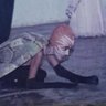 Profilbild von turtle/tortoise