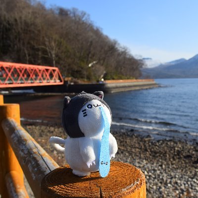 youmari252potte's profile picture