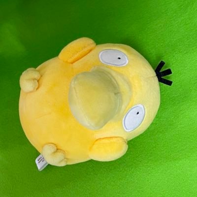 コダチャンちゃま's profile picture
