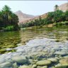 ABU RASHED 的头像