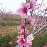 غروب 2 profil fotoğrafı