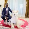 Profilbild von Momar Diagne