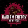 Profilbild von HARLEM THE APE😤🩸🦍
