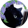 Profilbild von まひろ/大体原稿中。猫に溺れてます。