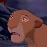 Shale's profile picture