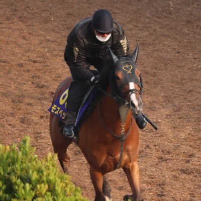 morita_stable's profile picture
