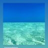 HGTP://Aquaracer profil fotoğrafı