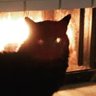 Profilbild von Black_Cats are the best