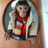 ghufron profil fotoğrafı