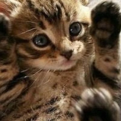 Ruby love's profile picture