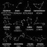 Фото профиля Jubiscreudo da Silva